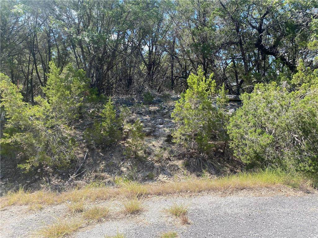 20305 Lexington Cv - Photo 1