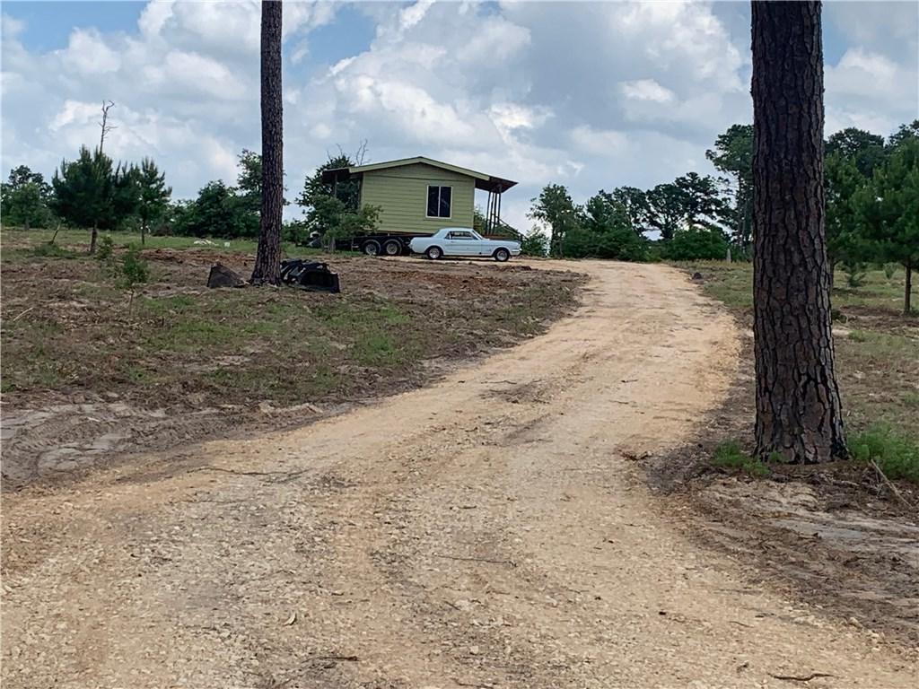 562 Pine Tree Loop - Photo 1