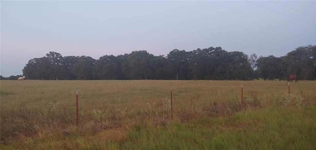 2995 County Road 442 - Photo 1