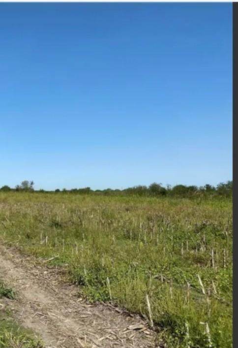 00000 Bois D Arc Rd - Photo 1