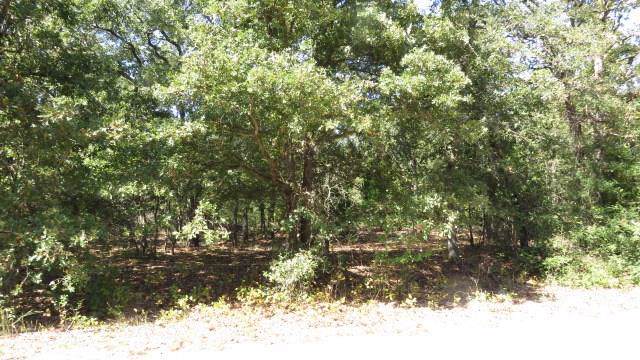 Lot 5 Hickory - Photo 1