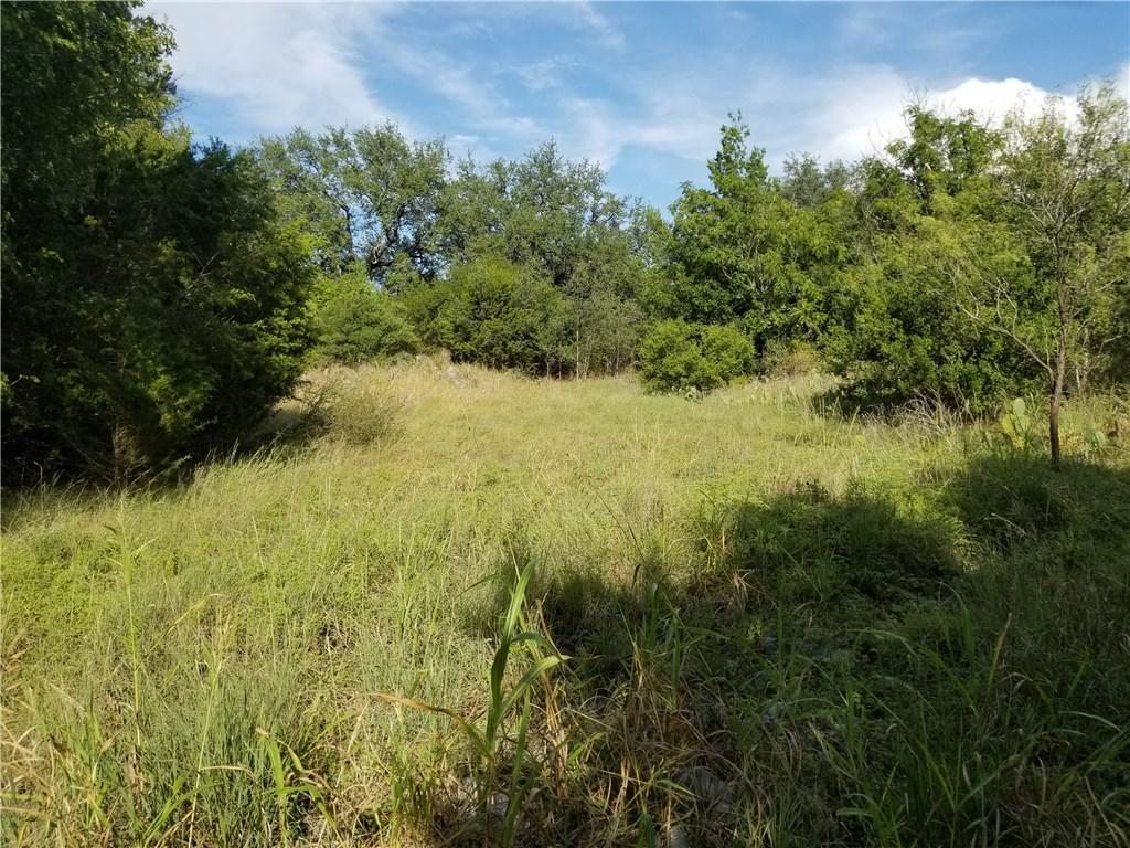 Lot 2 Mustang Ridge Estates - Photo 1