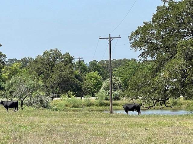 1583 Us Highway 77 Highway - Photo 1