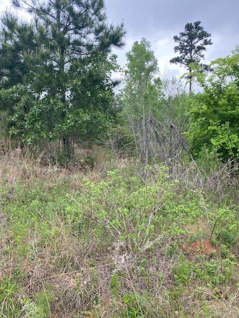 Lots 636 and 637 Mahalo Ct - Photo 1