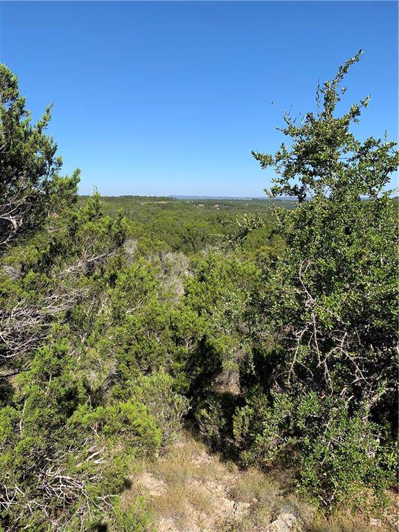 1121 Roy Creek Trl - Photo 1