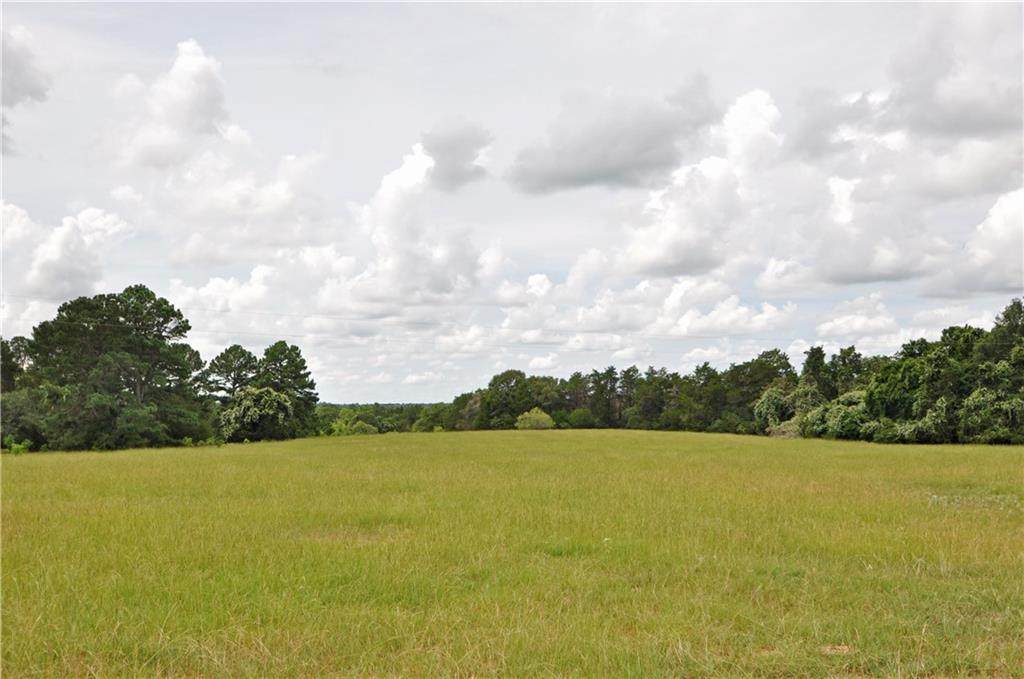 000 Zapalac (Lot 2) Rd - Photo 1