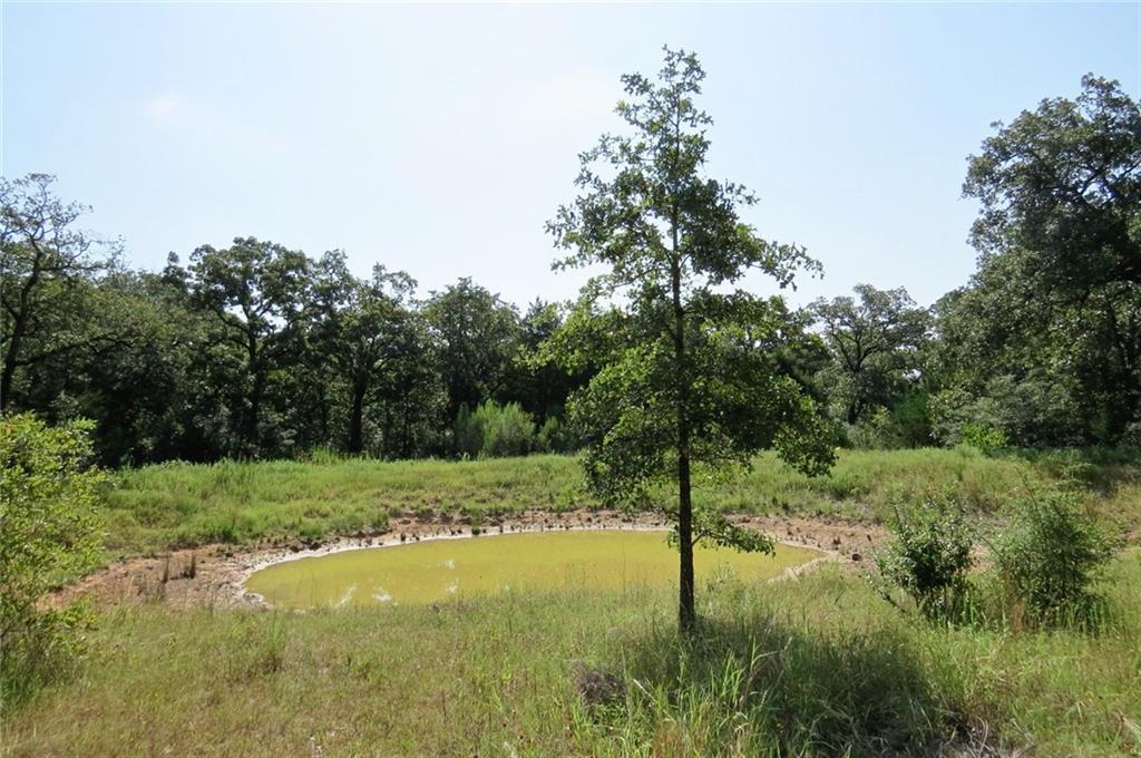 440 Silver Springs Lane - Photo 1