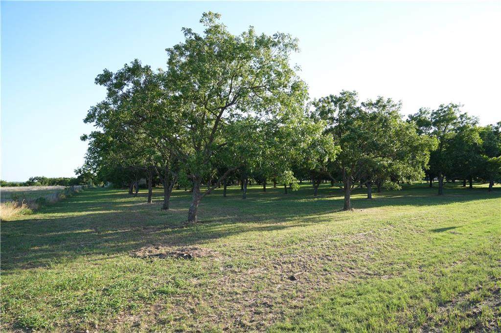 123 Lazy River Ln - Photo 1