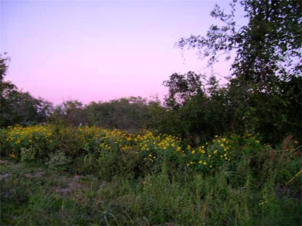 13200 F M 969/Webberville Rd - Photo 1