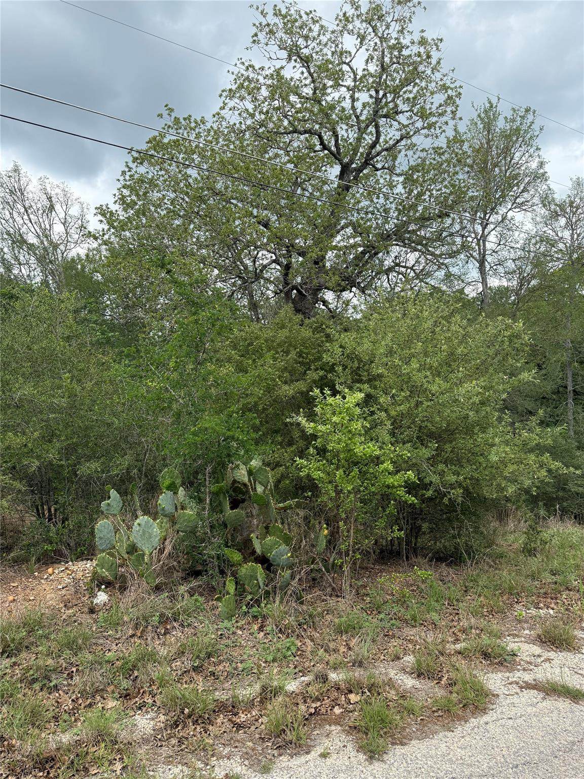 https://bt-photos.global.ssl.fastly.net/austin/orig_boomver_1_2182659-2.jpg