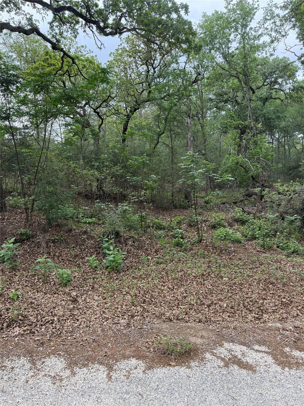 https://bt-photos.global.ssl.fastly.net/austin/orig_boomver_1_2182659-2.jpg