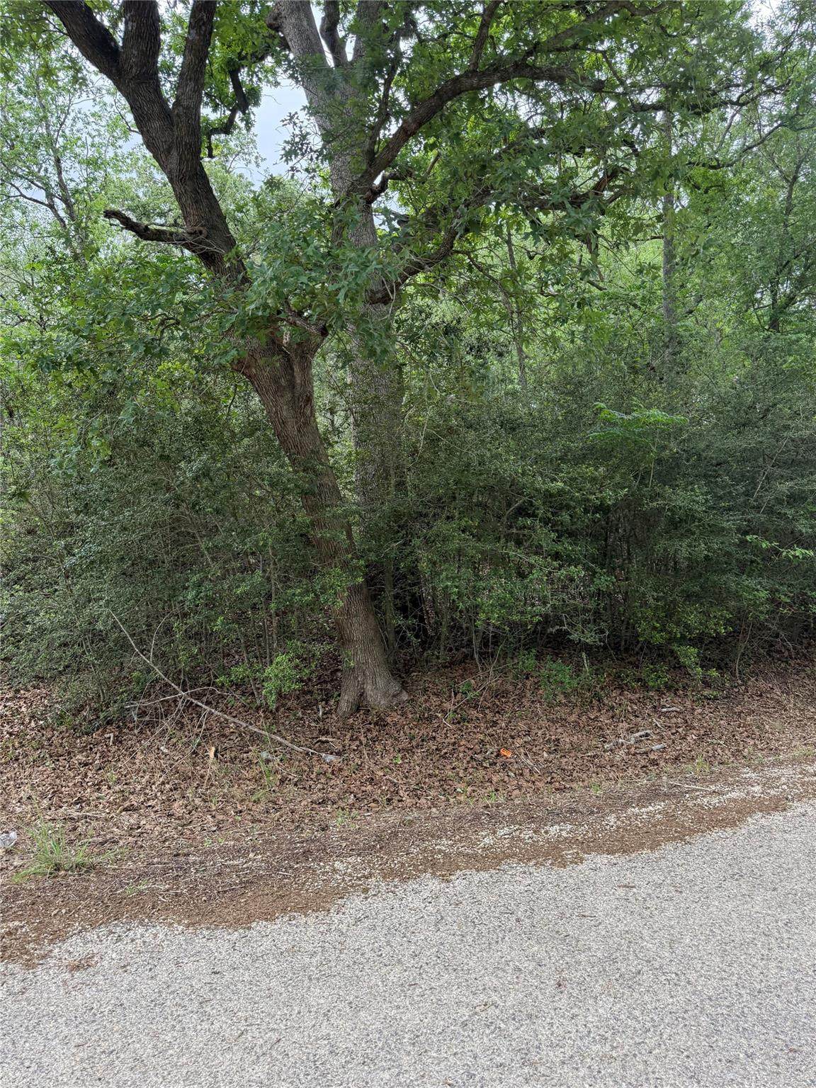 https://bt-photos.global.ssl.fastly.net/austin/orig_boomver_1_2182659-2.jpg