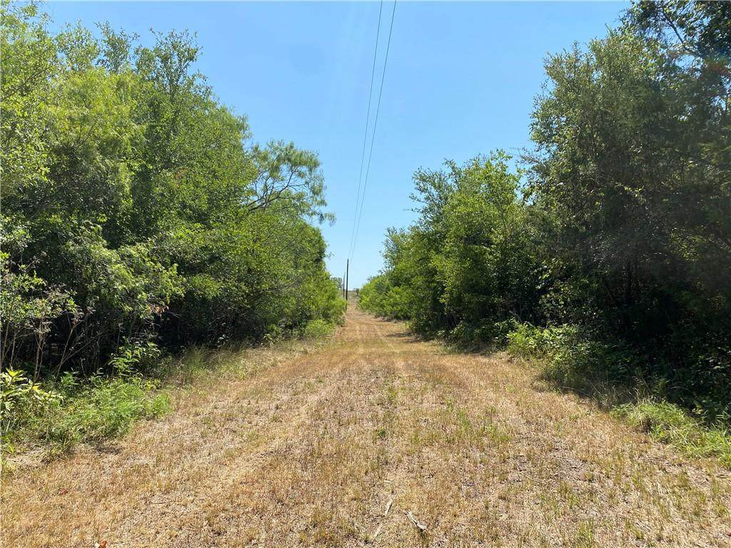 TBD Pettytown Rd - Photo 1
