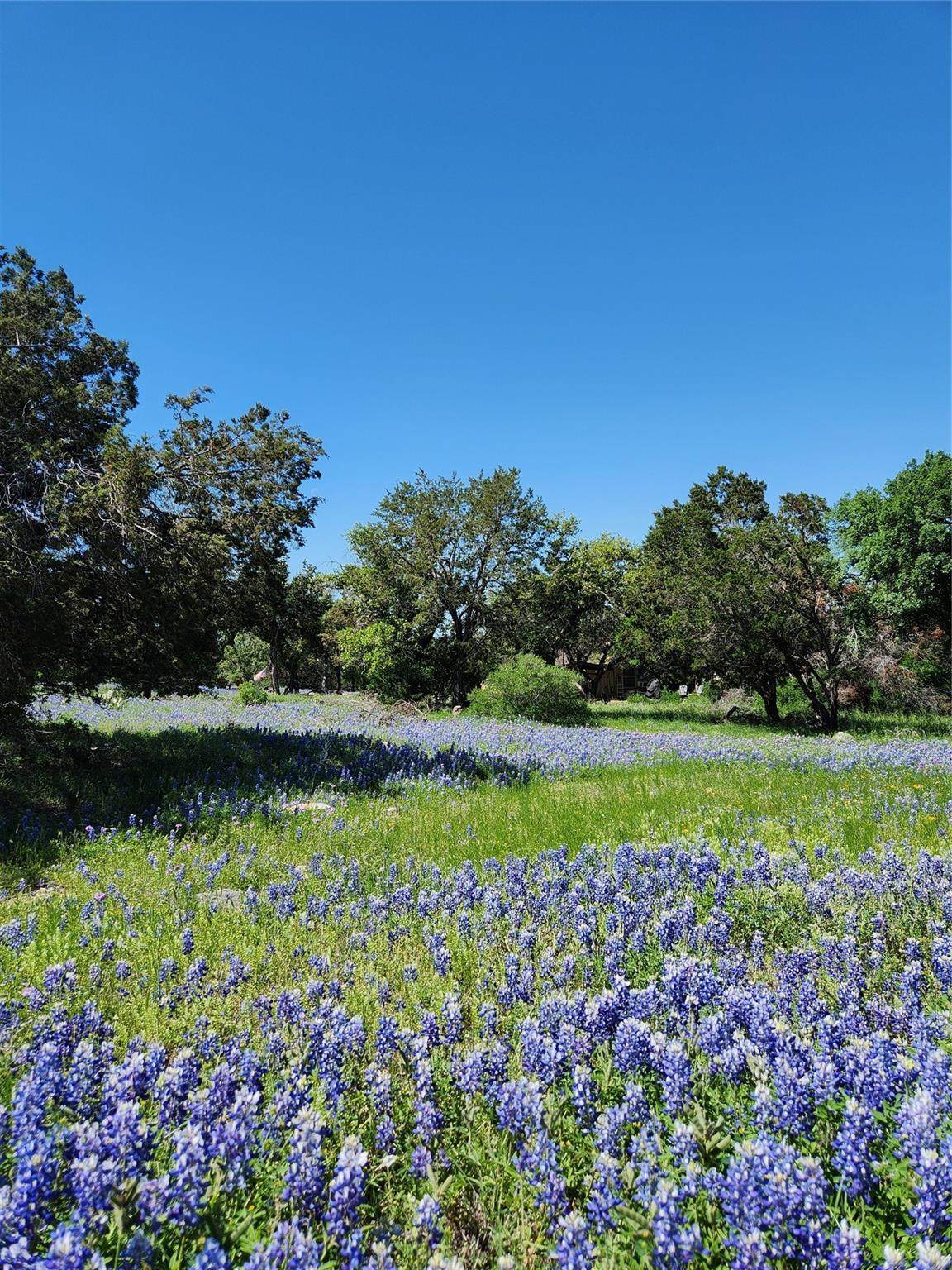 https://bt-photos.global.ssl.fastly.net/austin/1280_boomver_1_2240103-2.jpg