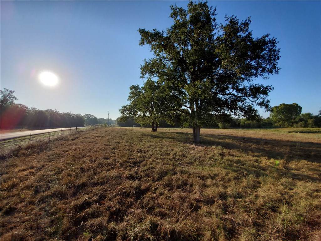 Lot 5 Ivy Switch Rd - Photo 1