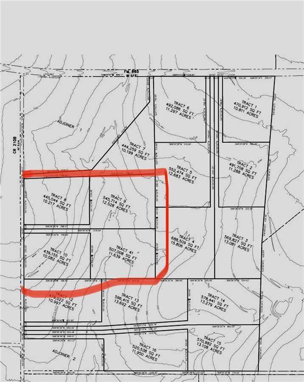 Tract 10 County Road 210B - Photo 1