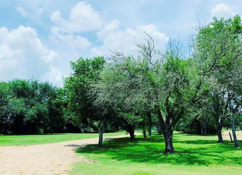 1469 Fm 109 Rd - Photo 1