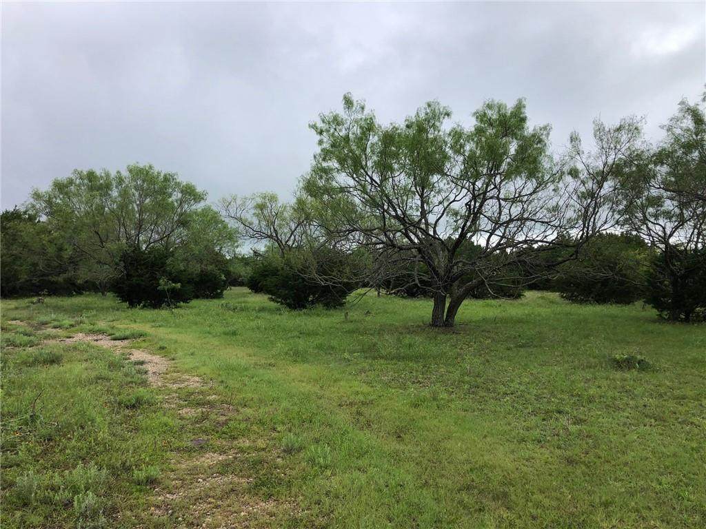 348.41 Acres Us Hwy 281 - Photo 1