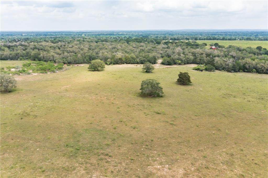 10 Armstrong Derry Armstrong & Sparta Field Rd - Photo 1