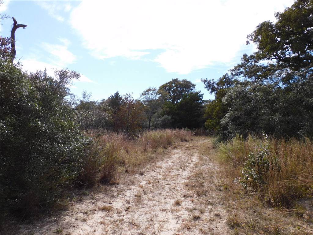 0000 Lewis Ln - Photo 1