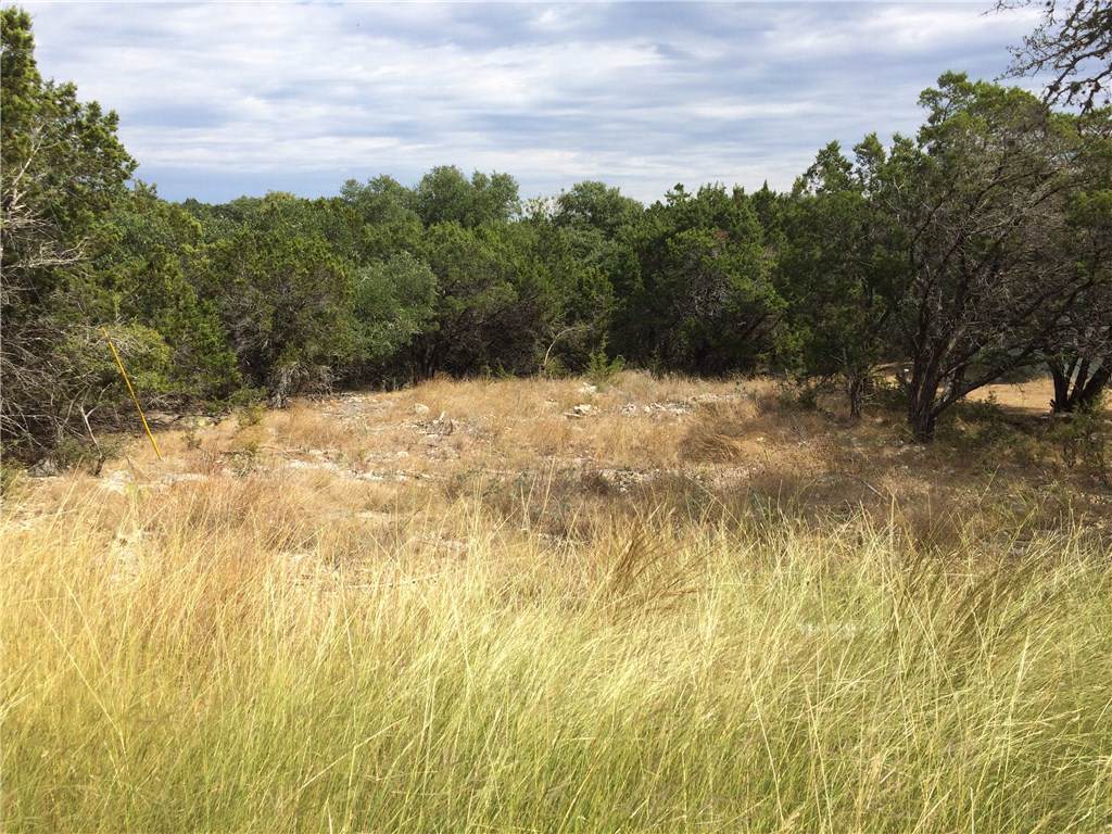 1176 Canyon Lake Dr - Photo 1