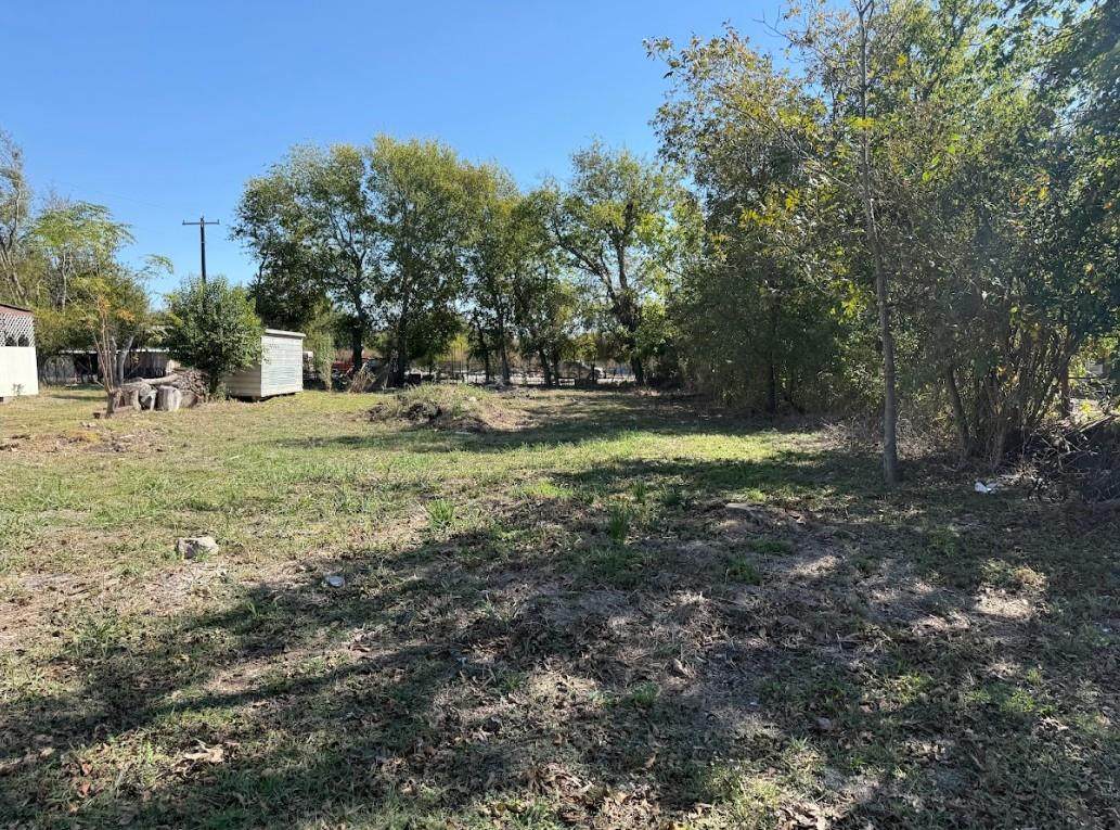 502 Alamo St - Photo 1