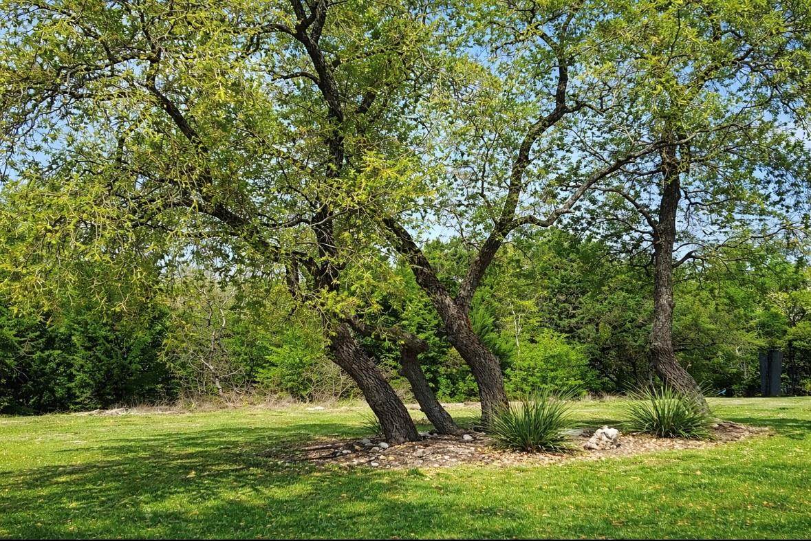 https://bt-photos.global.ssl.fastly.net/austin/orig_boomver_1_2732102-2.jpg