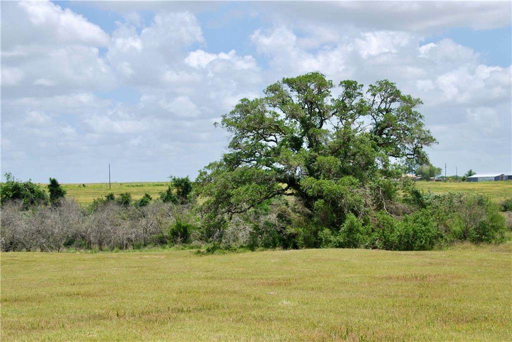 Tract 5 County Road 256 - Photo 1
