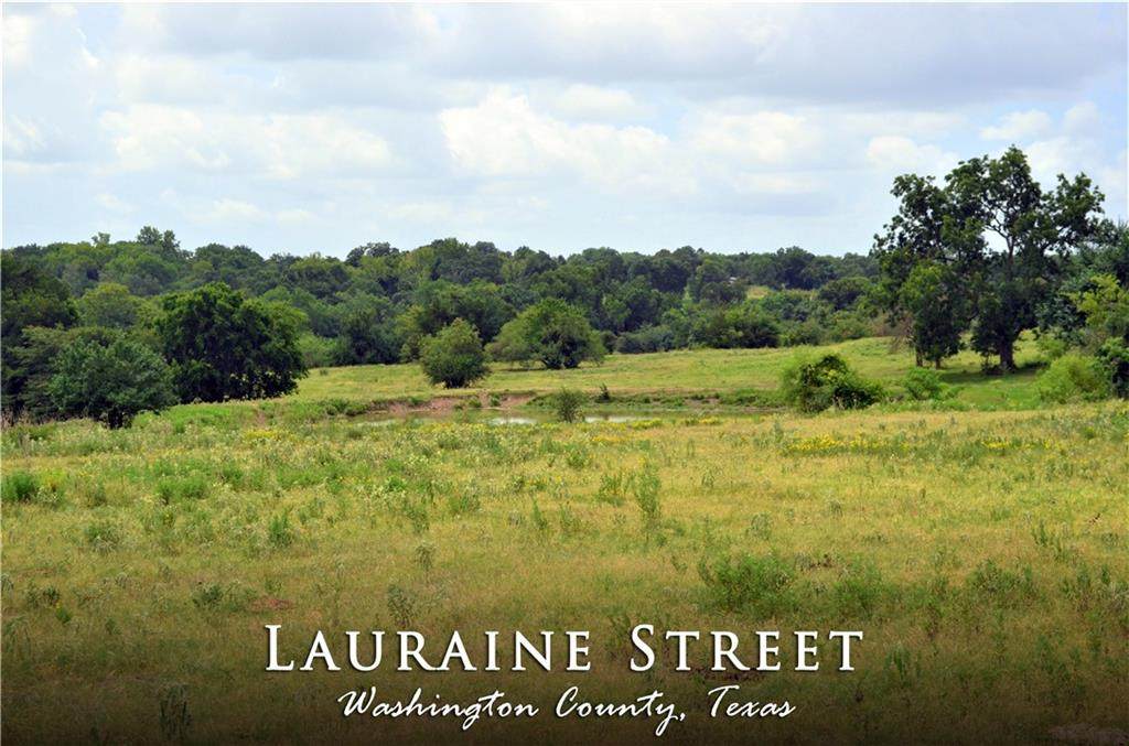 1902 Lauraine St - Photo 1