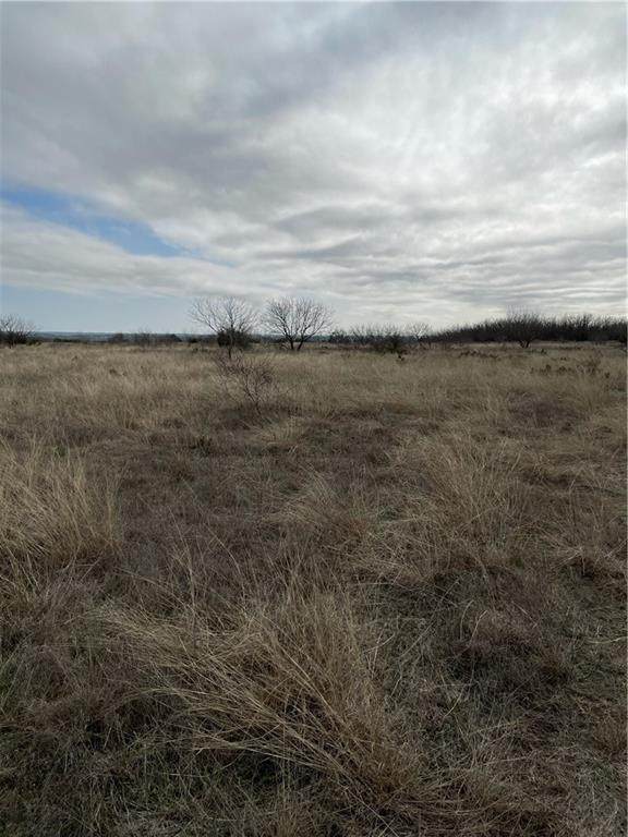 0 County Road 210B Rd - Photo 1