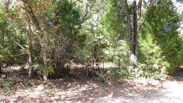 Lot 4 Hickory - Photo 1