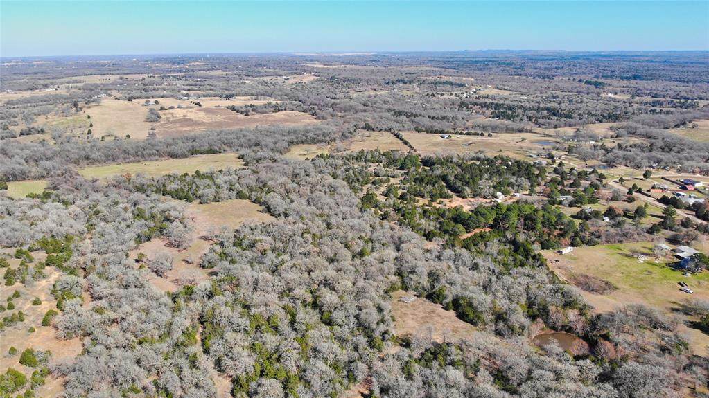 38.69 Acres Tbd Hidden Oaks Dr - Photo 1