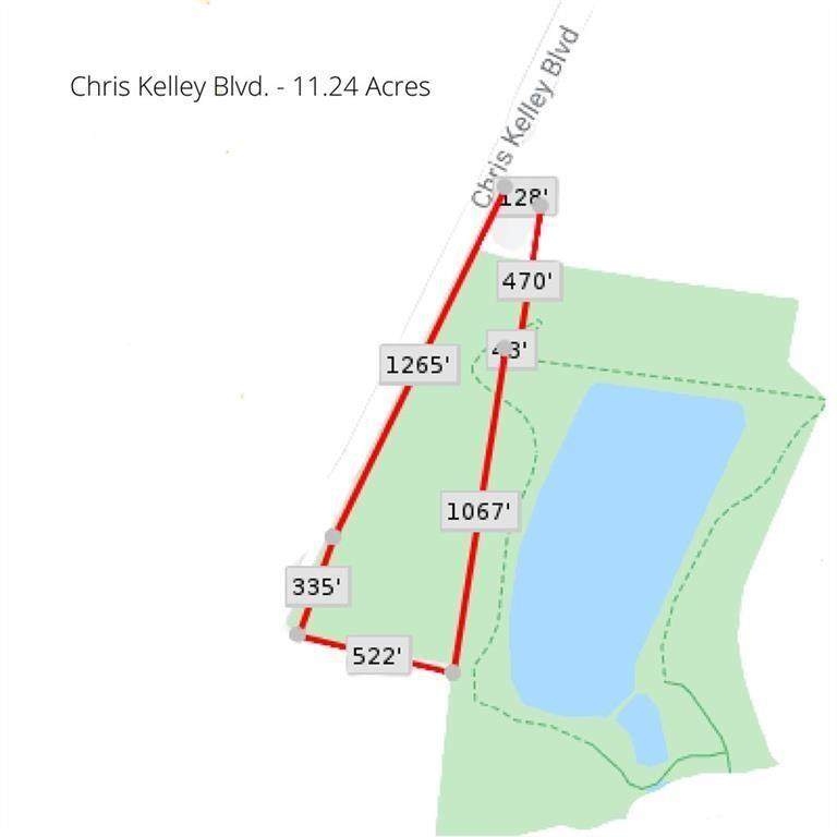 0 Chris Kelley Blvd - Photo 1