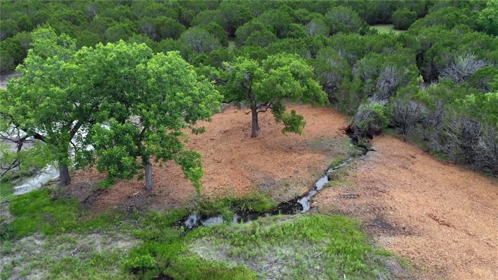 Lot 159 Horned Frog Ct - Photo 1