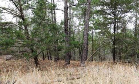 0 Stephen Ln - Photo 1