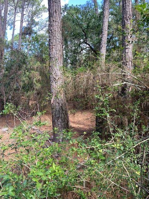 Lot 93 Papawai Dr - Photo 1