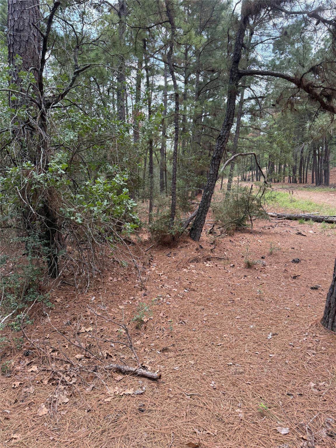 Lot 35 Tanglewood Dr - Photo 1