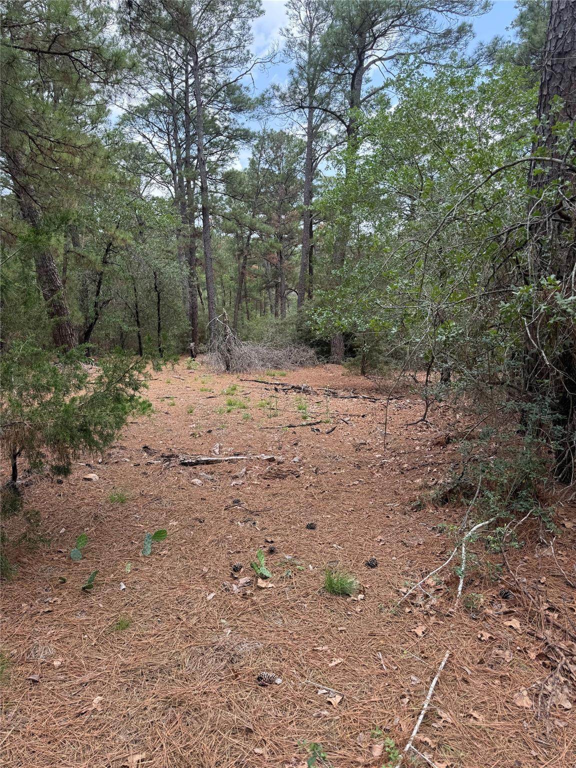 https://bt-photos.global.ssl.fastly.net/austin/orig_boomver_1_3010408-2.jpg