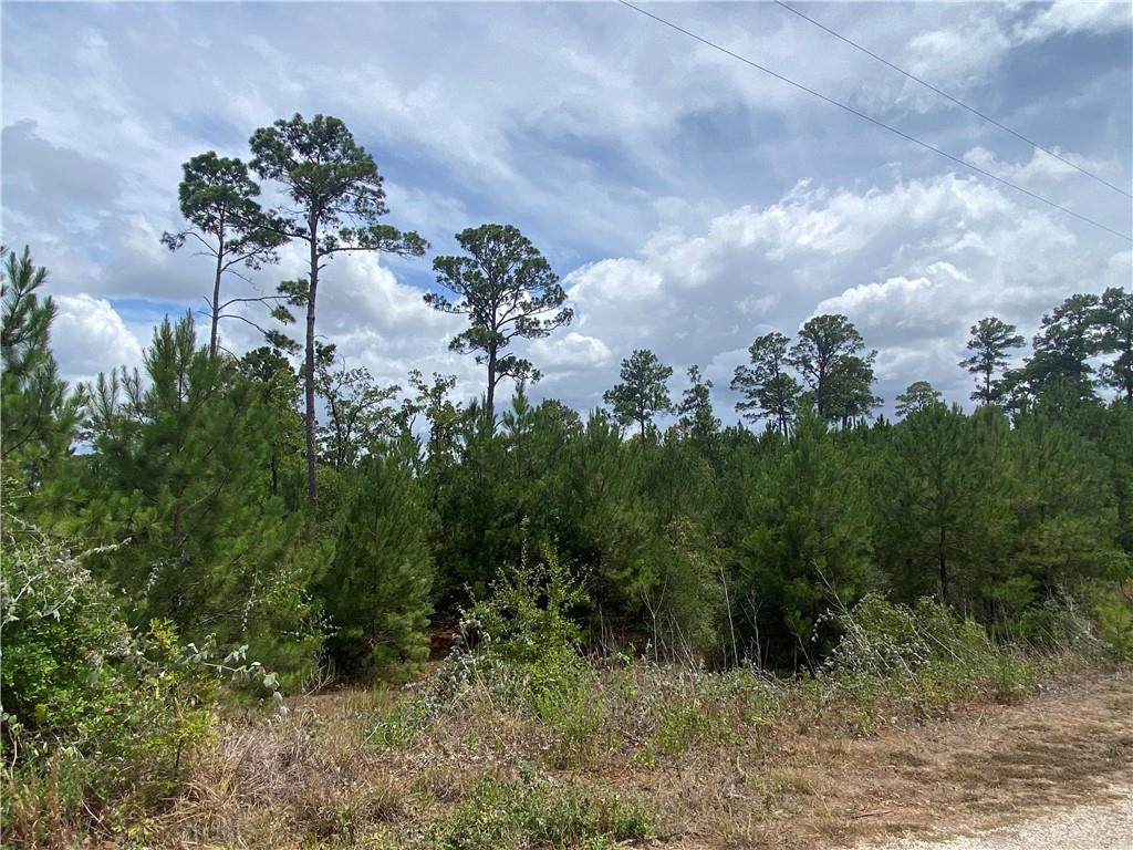 TBD Lot 604 Pinehollow Dr - Photo 1