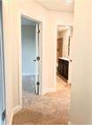 1108 Laceflower Ln - Photo 16