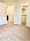 1108 Laceflower Ln - Photo 18