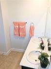 1108 Laceflower Ln - Photo 21