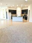 1108 Laceflower Ln - Photo 6