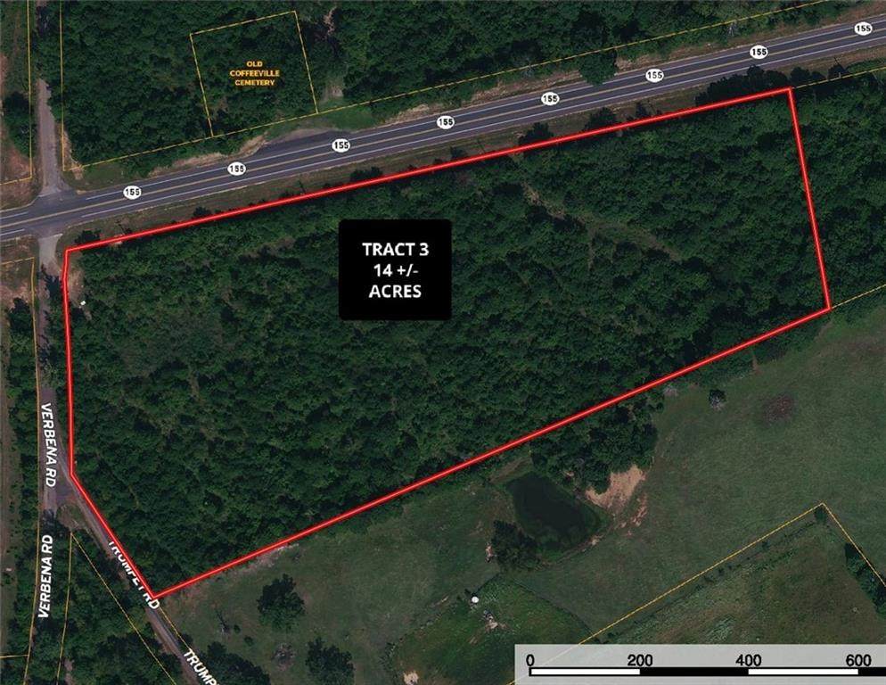 TBD TX Hwy 155 & Verbena Rd - Tract 3 - Photo 1