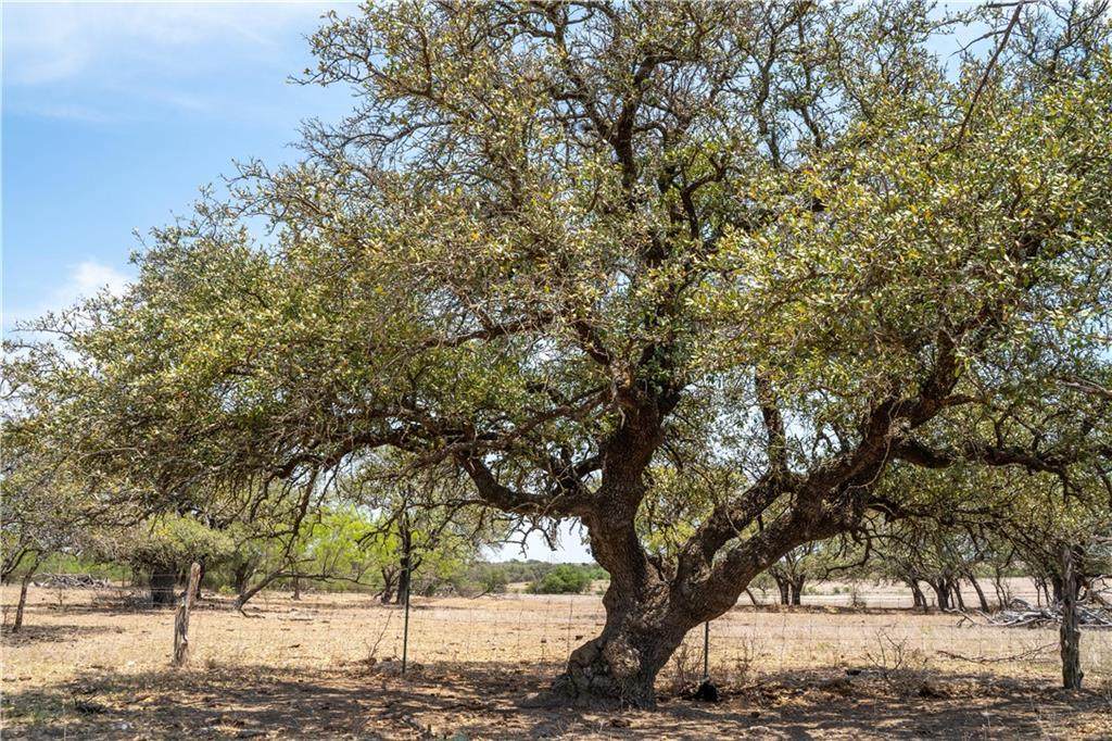 Tract 2 3835 Fm 1702 - Photo 1