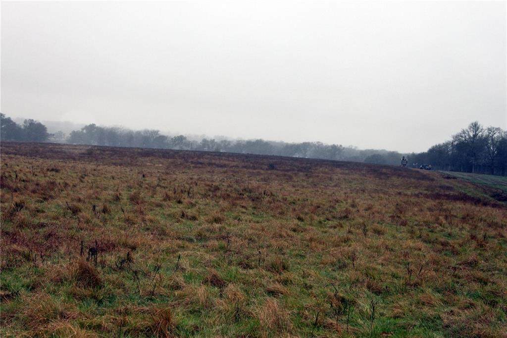 0000 Old Colony Line Rd - Photo 1