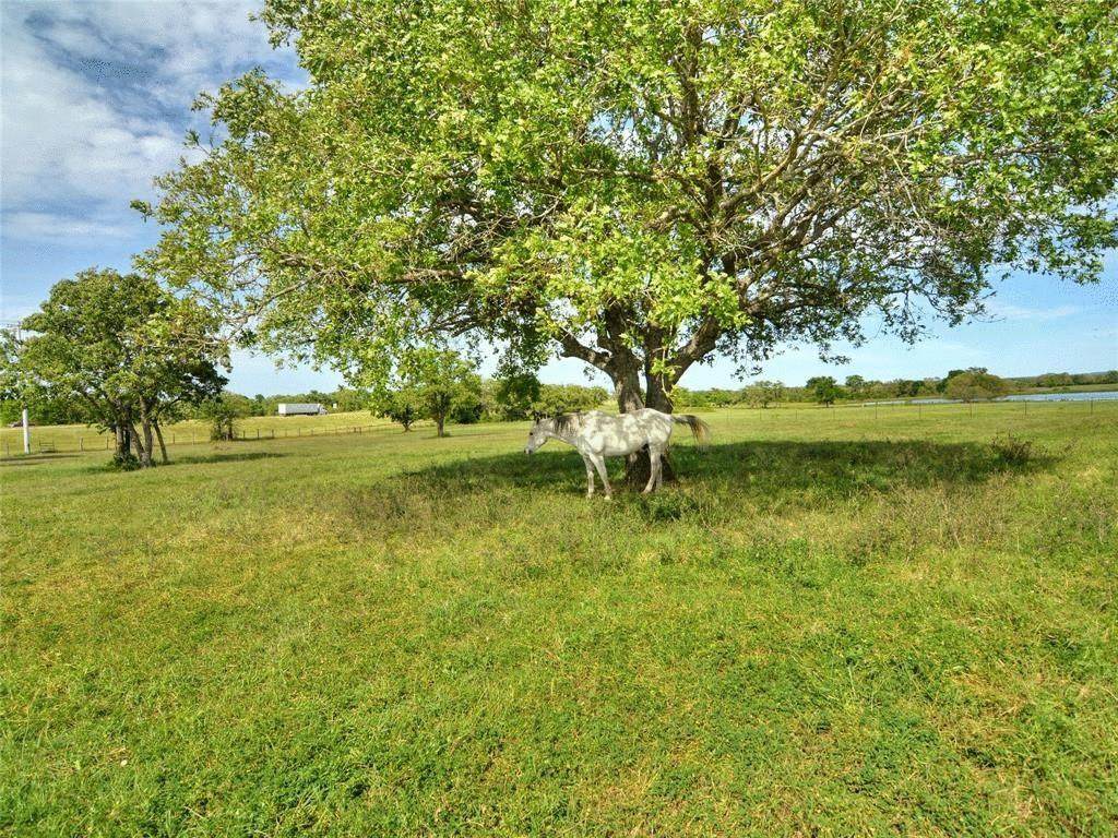 760 Cr 413 A Tract 2 - Photo 1
