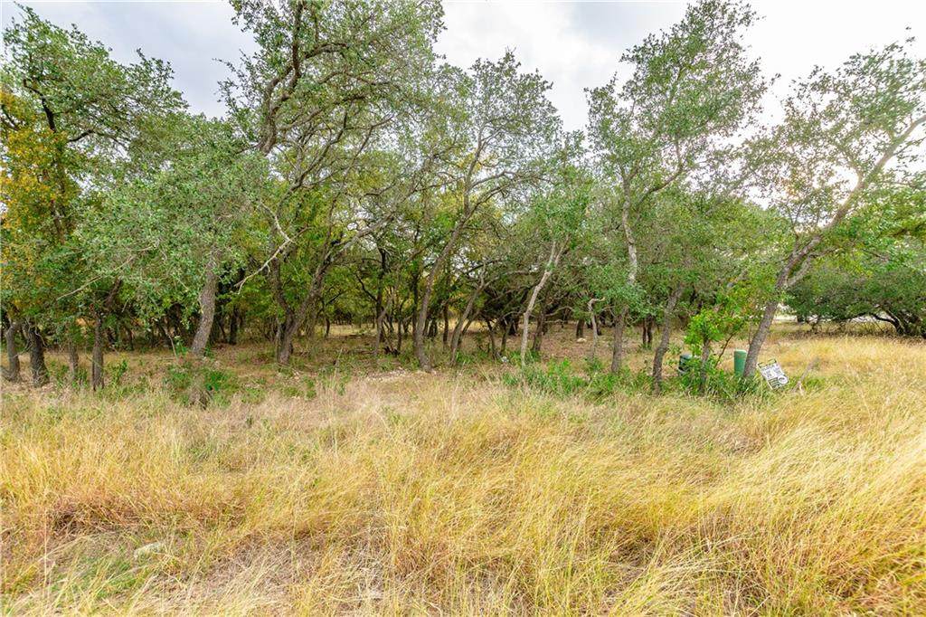 8438 Spring Creek Loop - Photo 1