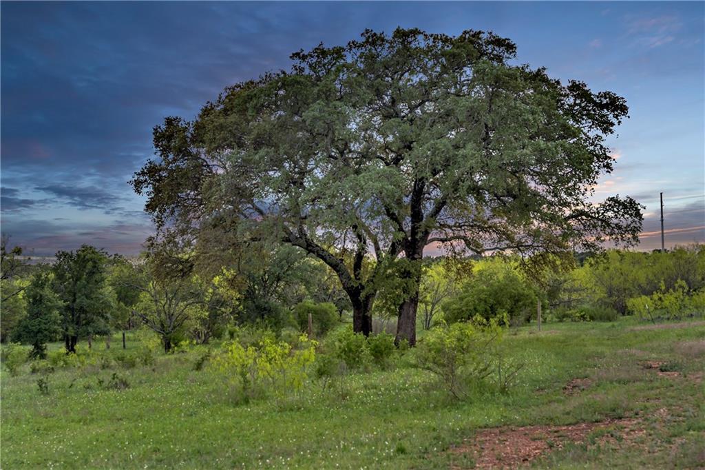 TBD Rockvale Ln - Photo 1
