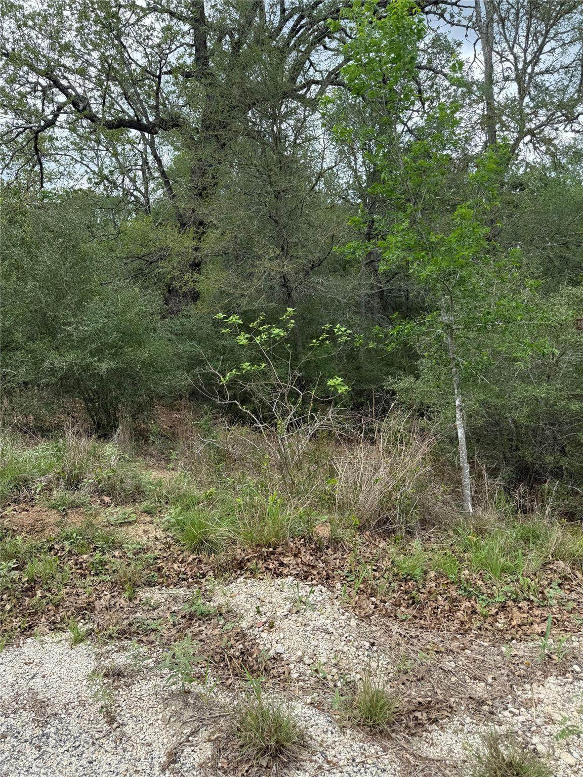 https://bt-photos.global.ssl.fastly.net/austin/orig_boomver_1_3251433-2.jpg